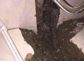 祁门卫生间测漏水哪家好